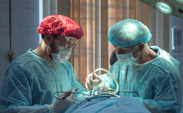 demo-attachment-848-blog-1-img-1